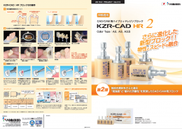 KZR-CAD HR 2　ブロック ピンタイプ